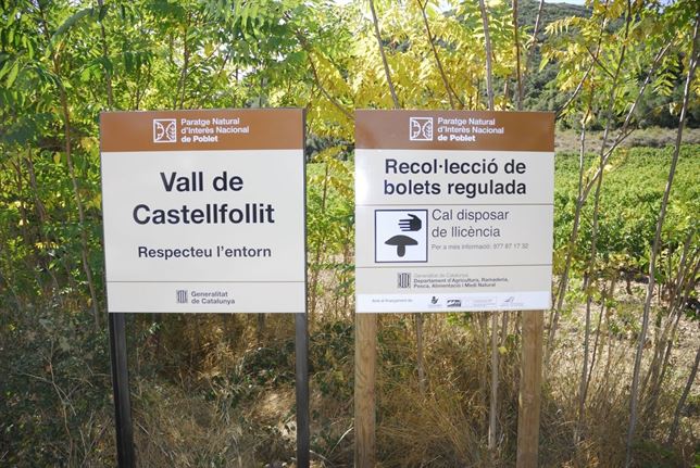 Cestas para Setas en Poblet, Tarragona