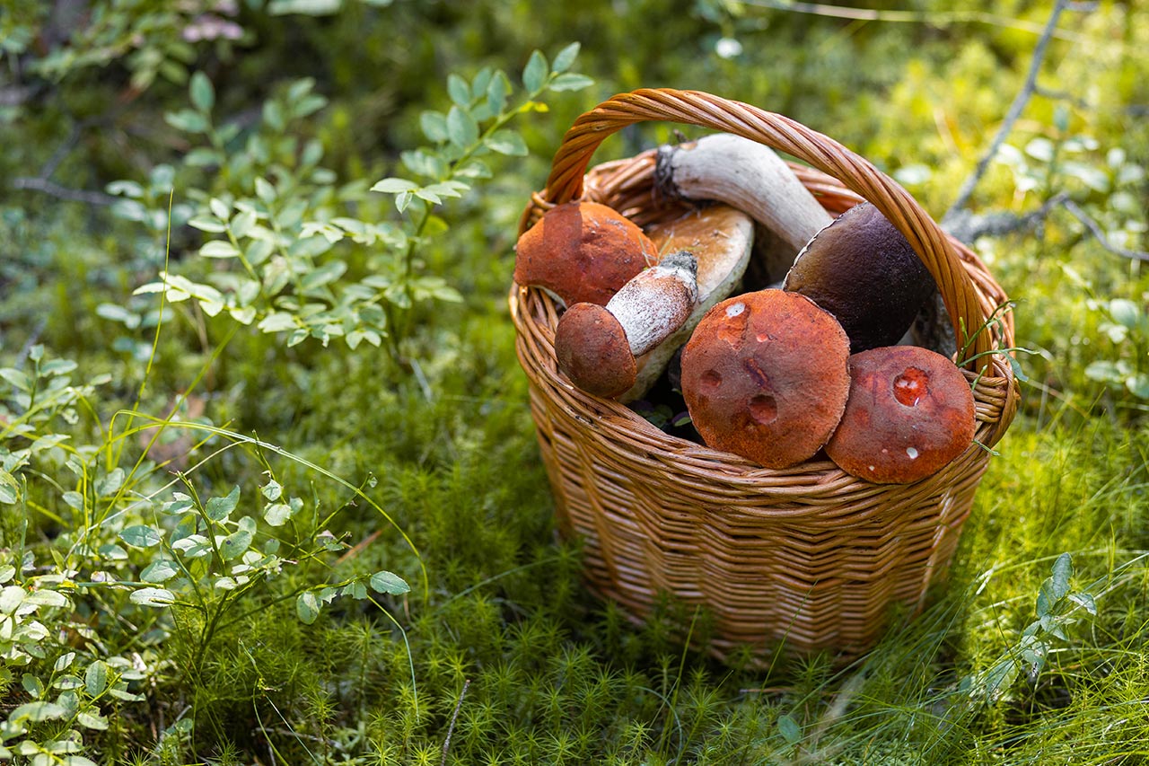 precisamente Fuera de plazo El sendero Cestas de mimbre artesanales para los amantes de la naturaleza - Productos  Artesanos de Mimbre -